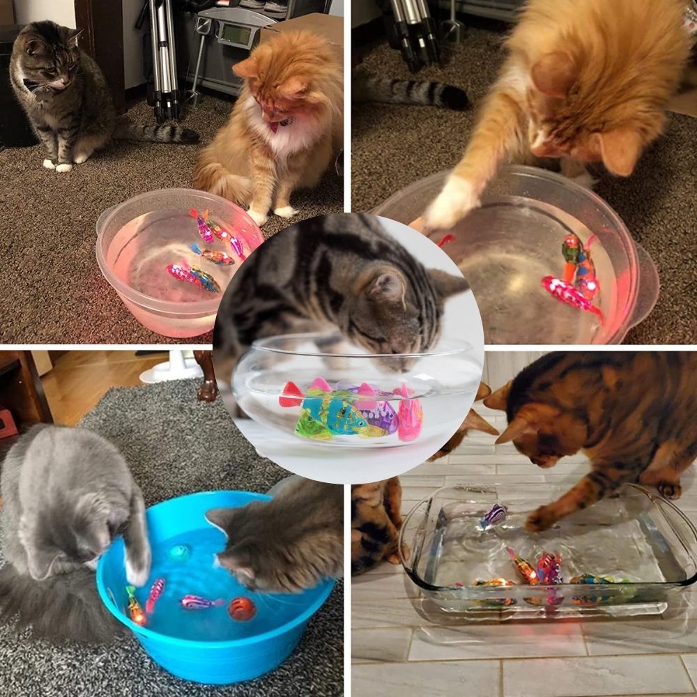AquaDance™ Interactive Cat Toy Set