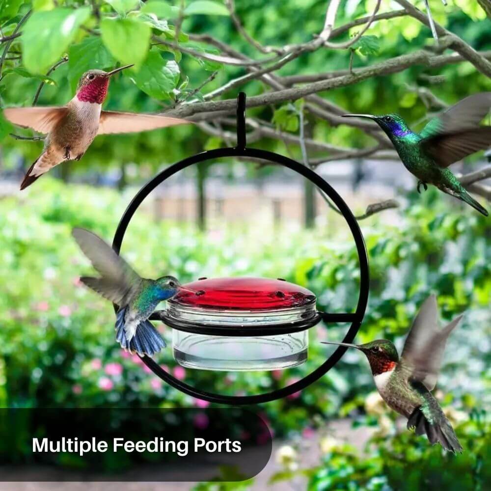 BloomHaven™ Hummingbird Feeder