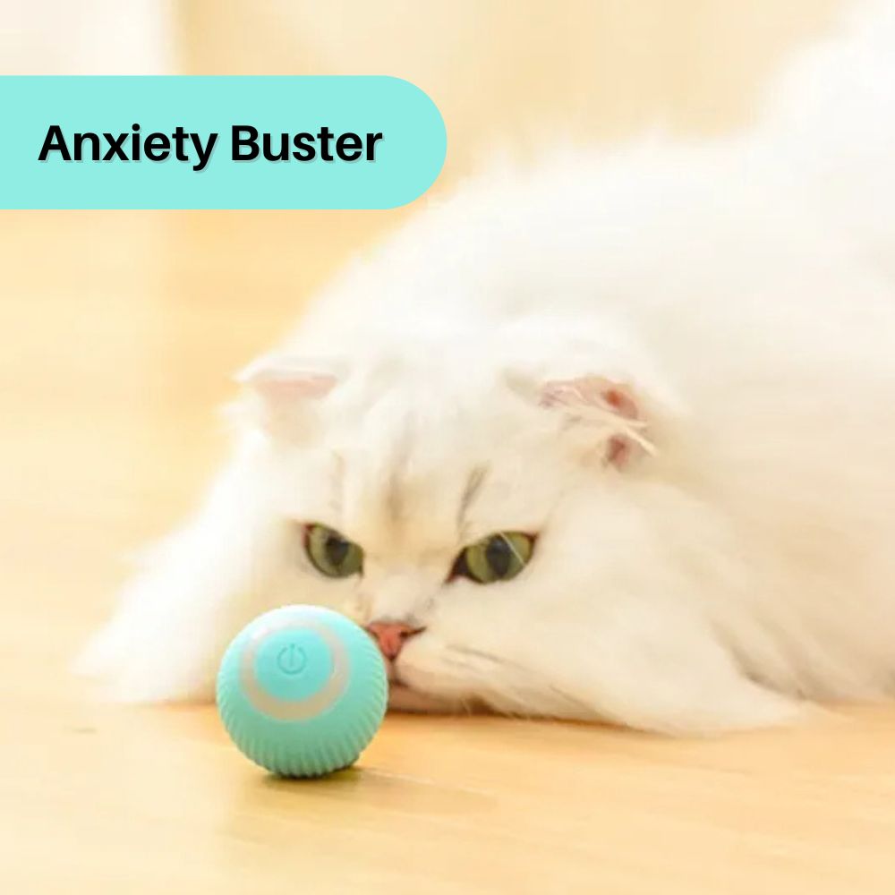 PurrPlay™ Interactive Cat Rolling Ball