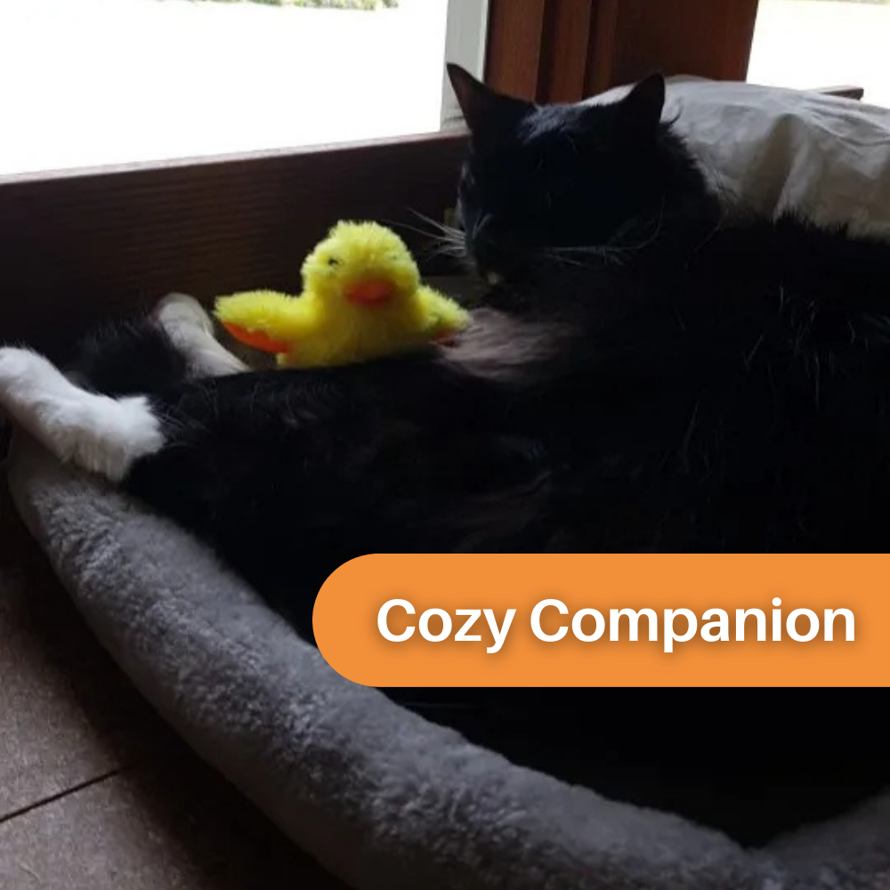 Quack Buddy™ Interactive Duck Toy