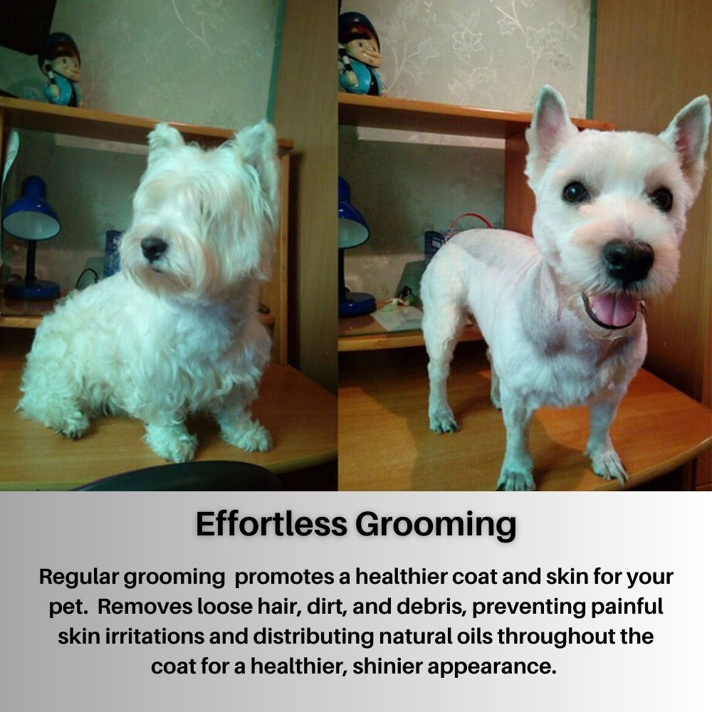 WhisperTrim™ Pro The Quiet Pet Grooming Solution