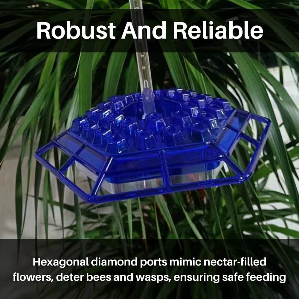 Hummingbird Harmony™ Hexagonal Feeder