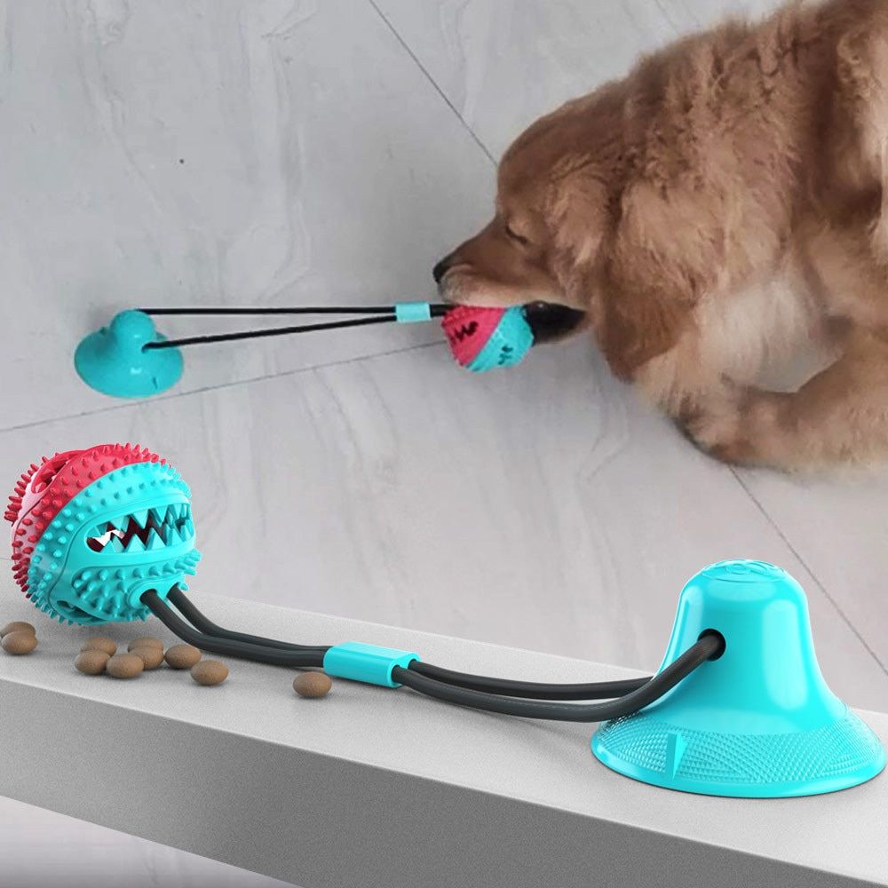 ChewBuddy™ Tug 'n' Treat