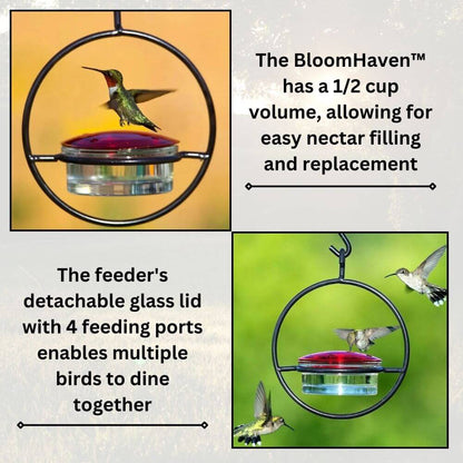 BloomHaven™ Hummingbird Feeder