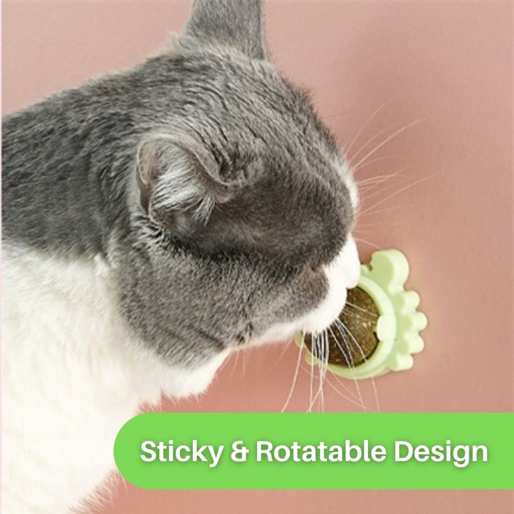 Kitty Delight™ Rotating Catnip Ball