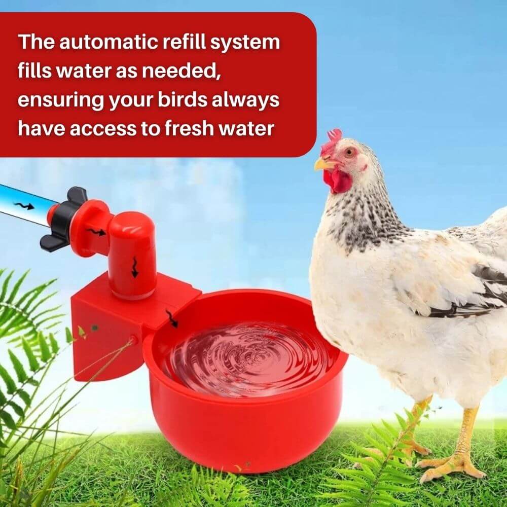 EverSpring™ Automatic Chicken Water System