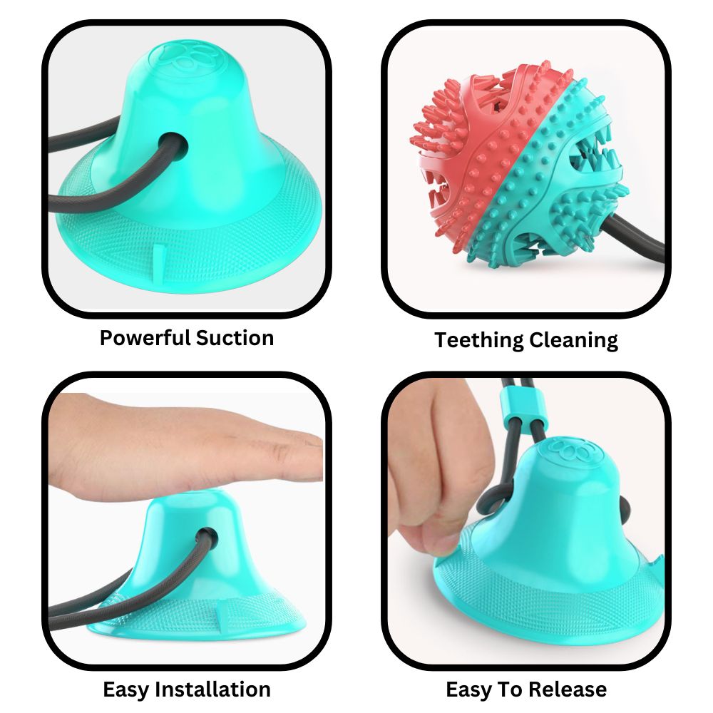 ChewBuddy™ Tug 'n' Treat