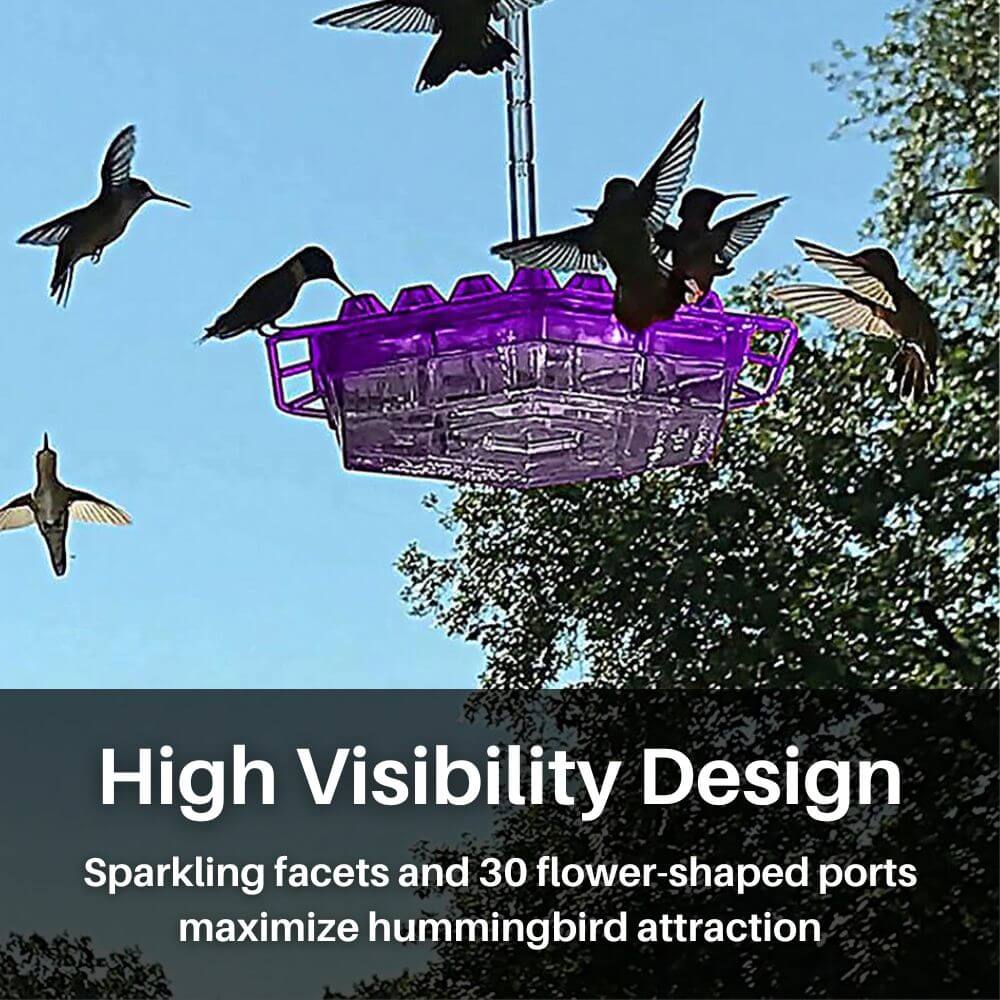 Hummingbird Harmony™ Hexagonal Feeder