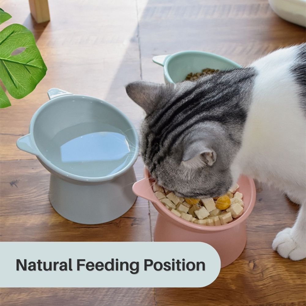 Meow Majesty™ Ergonomic Cat Bowl