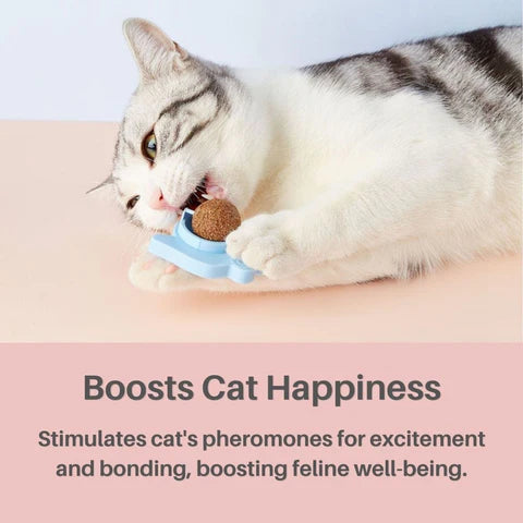 Kitty Delight™ Rotating Catnip Ball