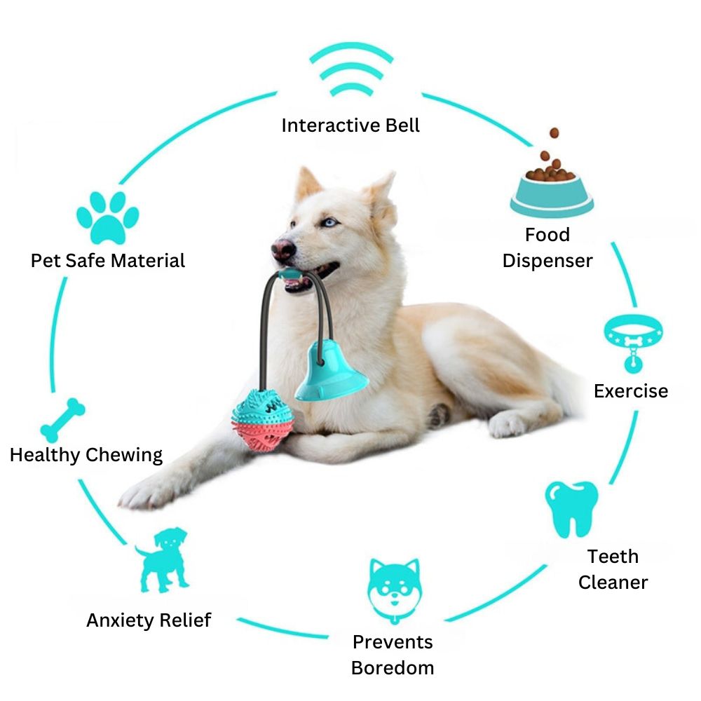 ChewBuddy™ Tug 'n' Treat
