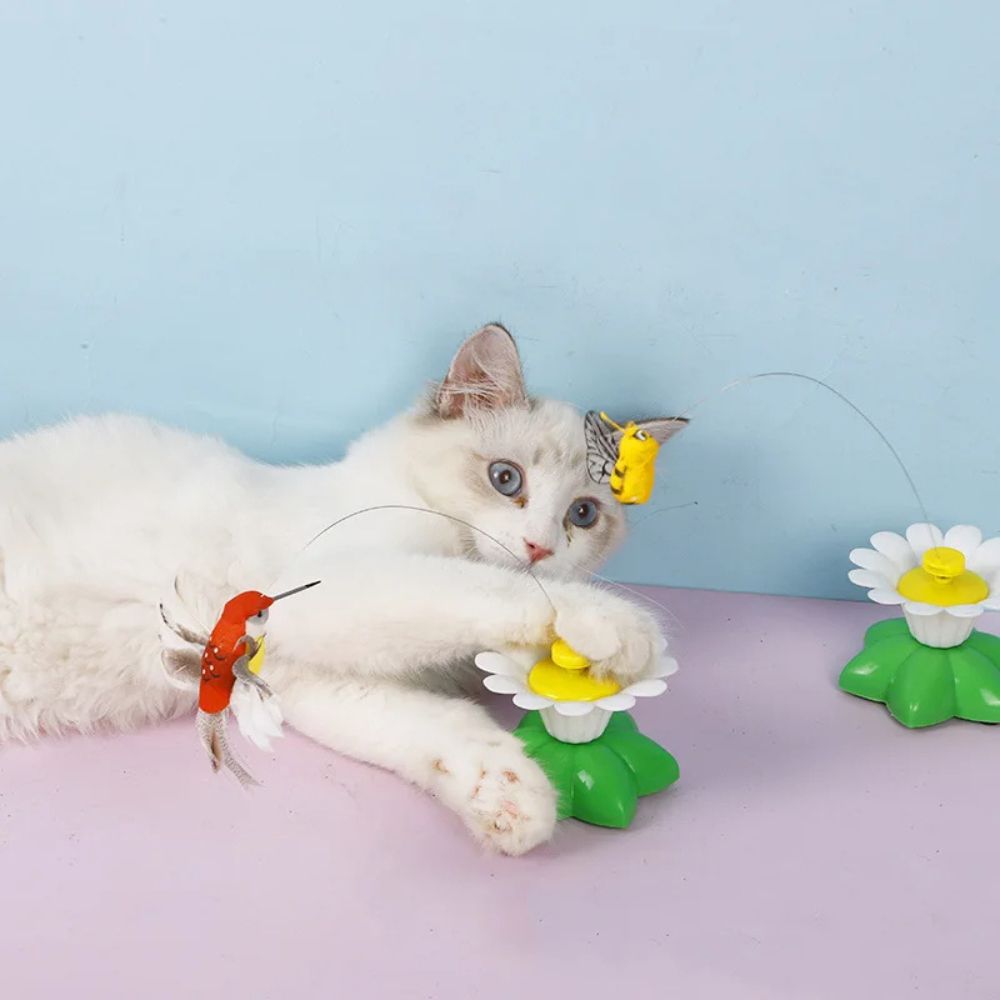 Whisker Whiz™ Interactive Cat Toy