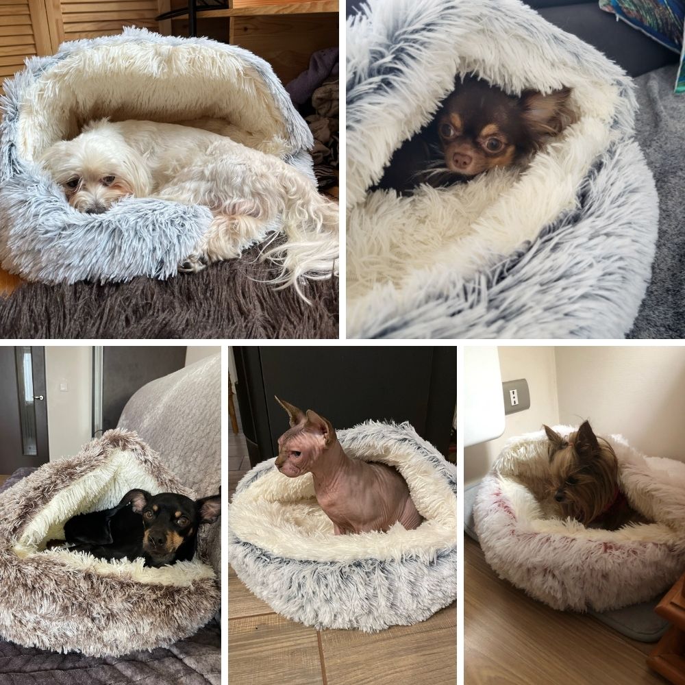 CozyCloud™ Calming Pet Bed