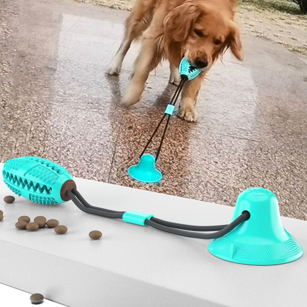 ChewBuddy™ Tug 'n' Treat
