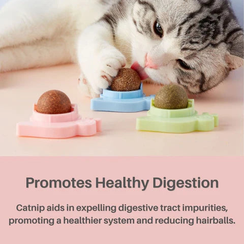 Kitty Delight™ Rotating Catnip Ball