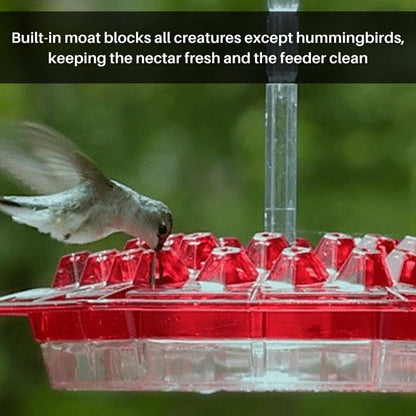 Hummingbird Harmony™ Hexagonal Feeder
