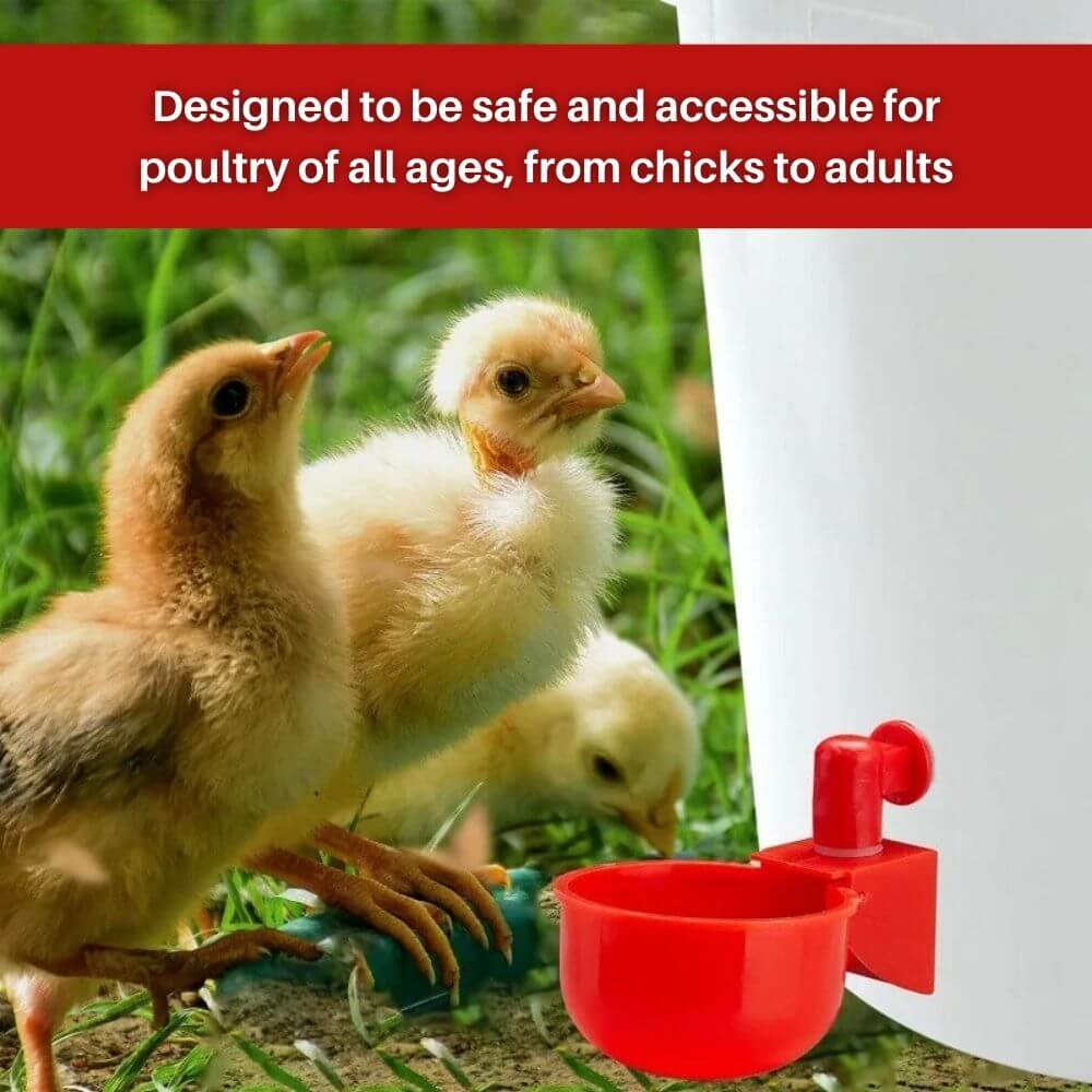 EverSpring™ Automatic Chicken Water System