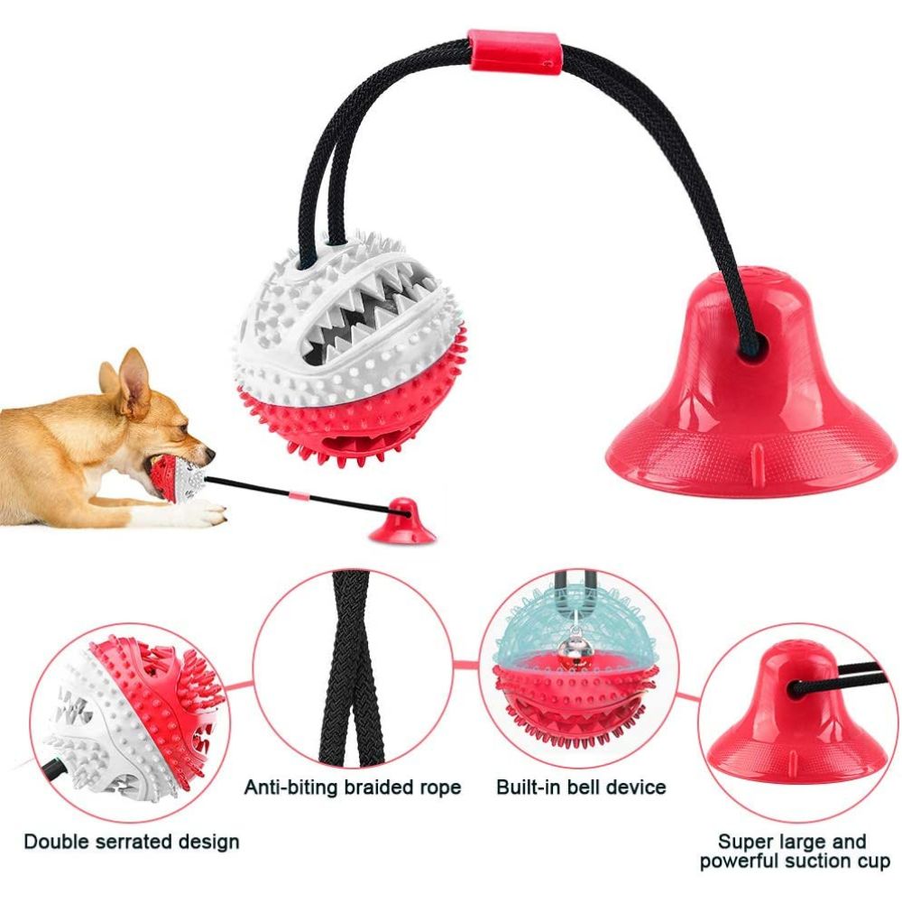 ChewBuddy™ Tug 'n' Treat
