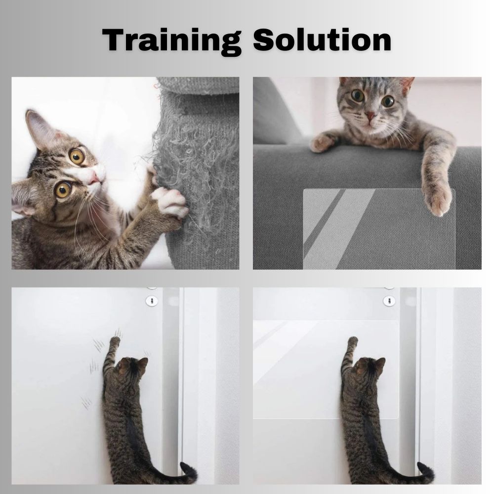 ScratchGuard™ Transparent Furniture Protector Special Offer