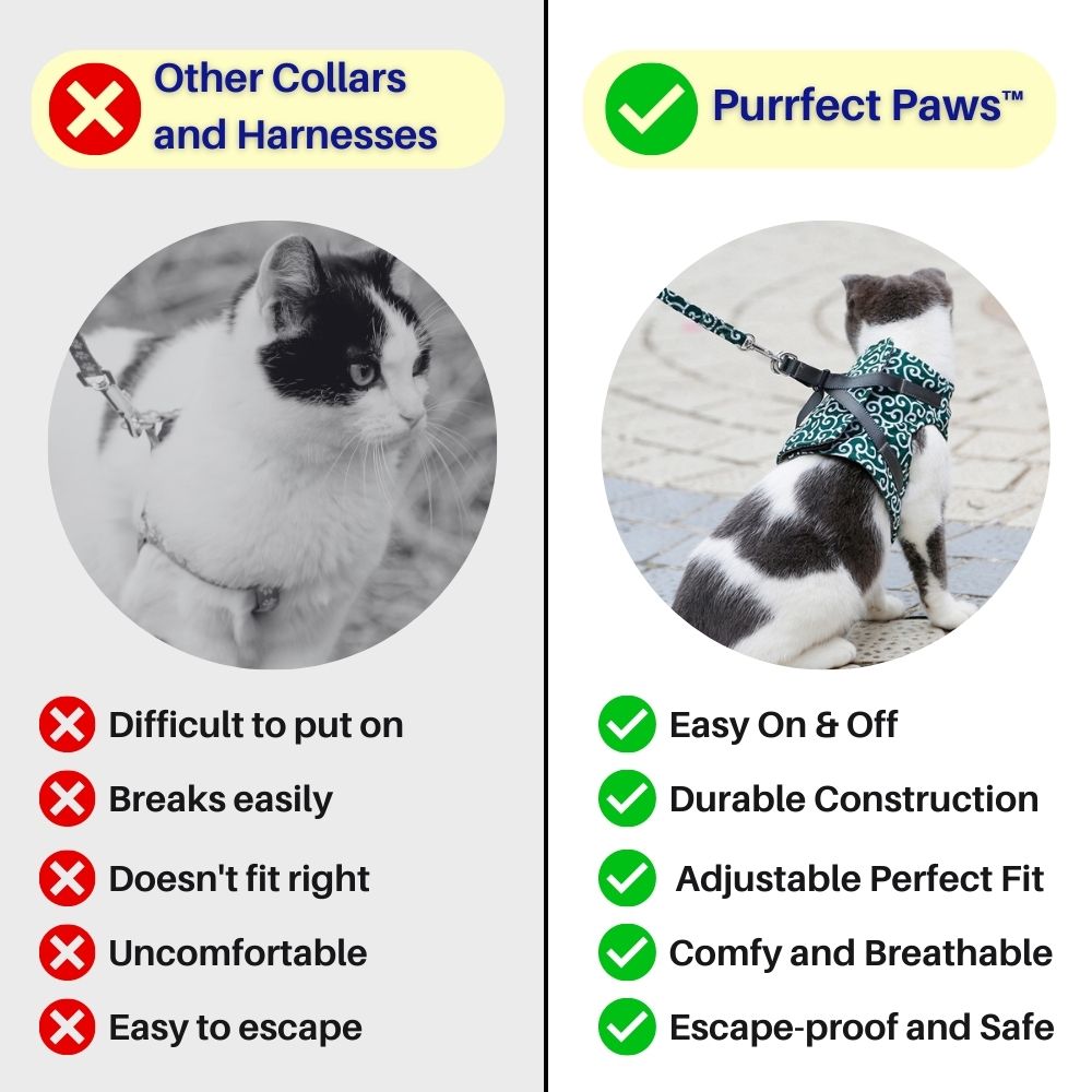 Purrfect Paws™ Cat Harness And Leash Set