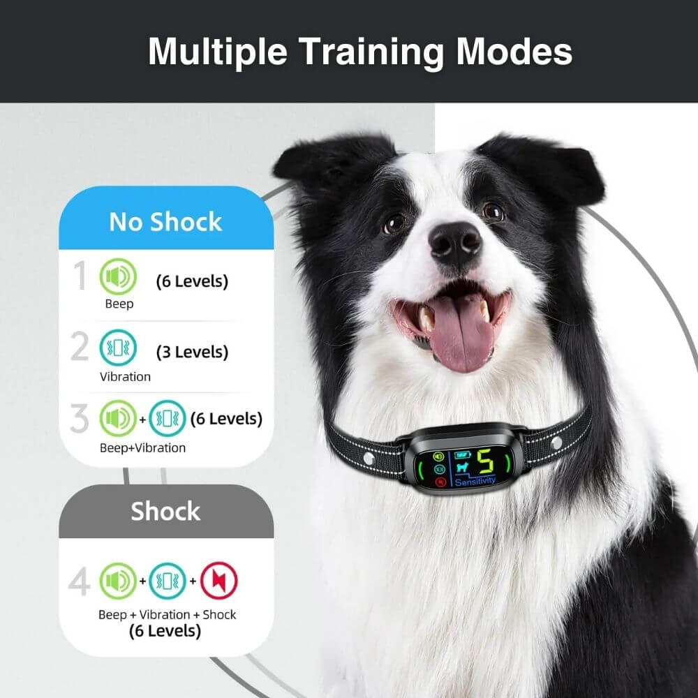 BarkMaster™ Anti Barking Training Collar