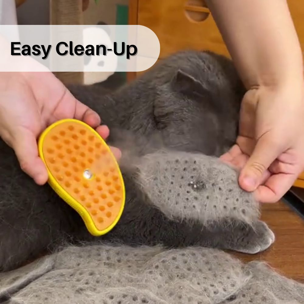 PurrSpa™ Steamy Cat Brush Special Offer