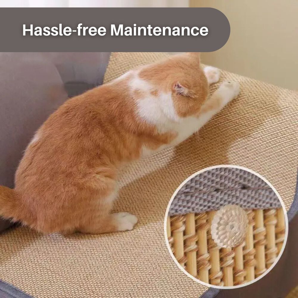 Furhaven ScratchGuard™: Deluxe Furniture Defender