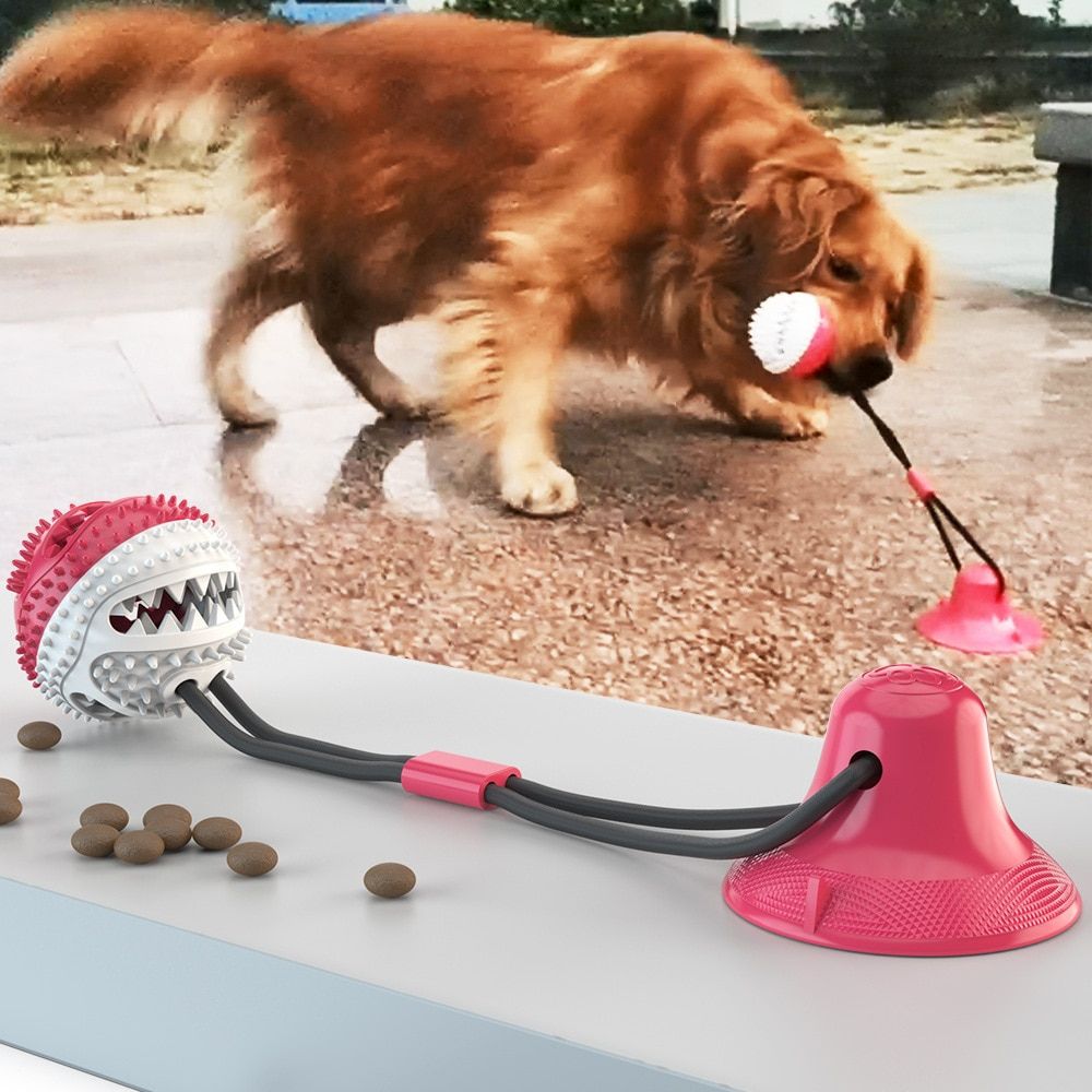 ChewBuddy™ Tug 'n' Treat