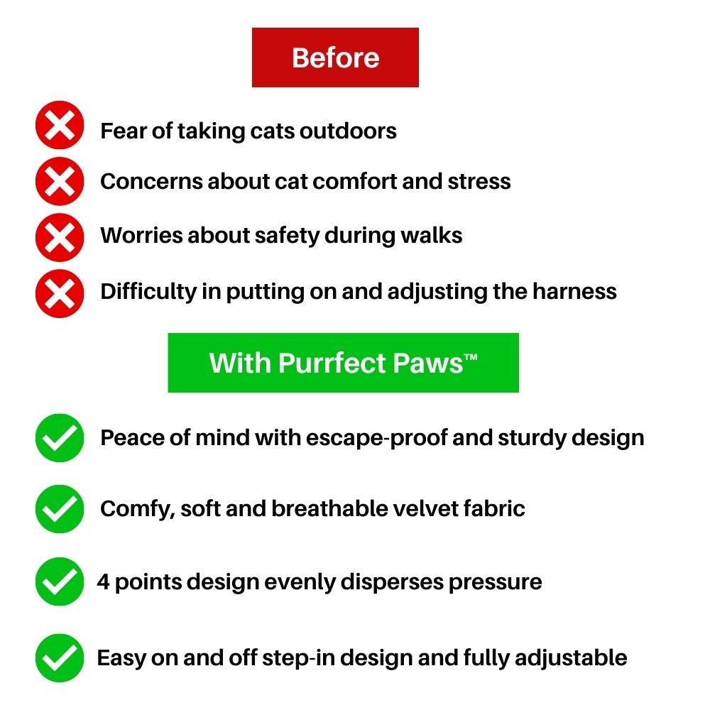 Purrfect Paws™ Cat Harness And Leash Set