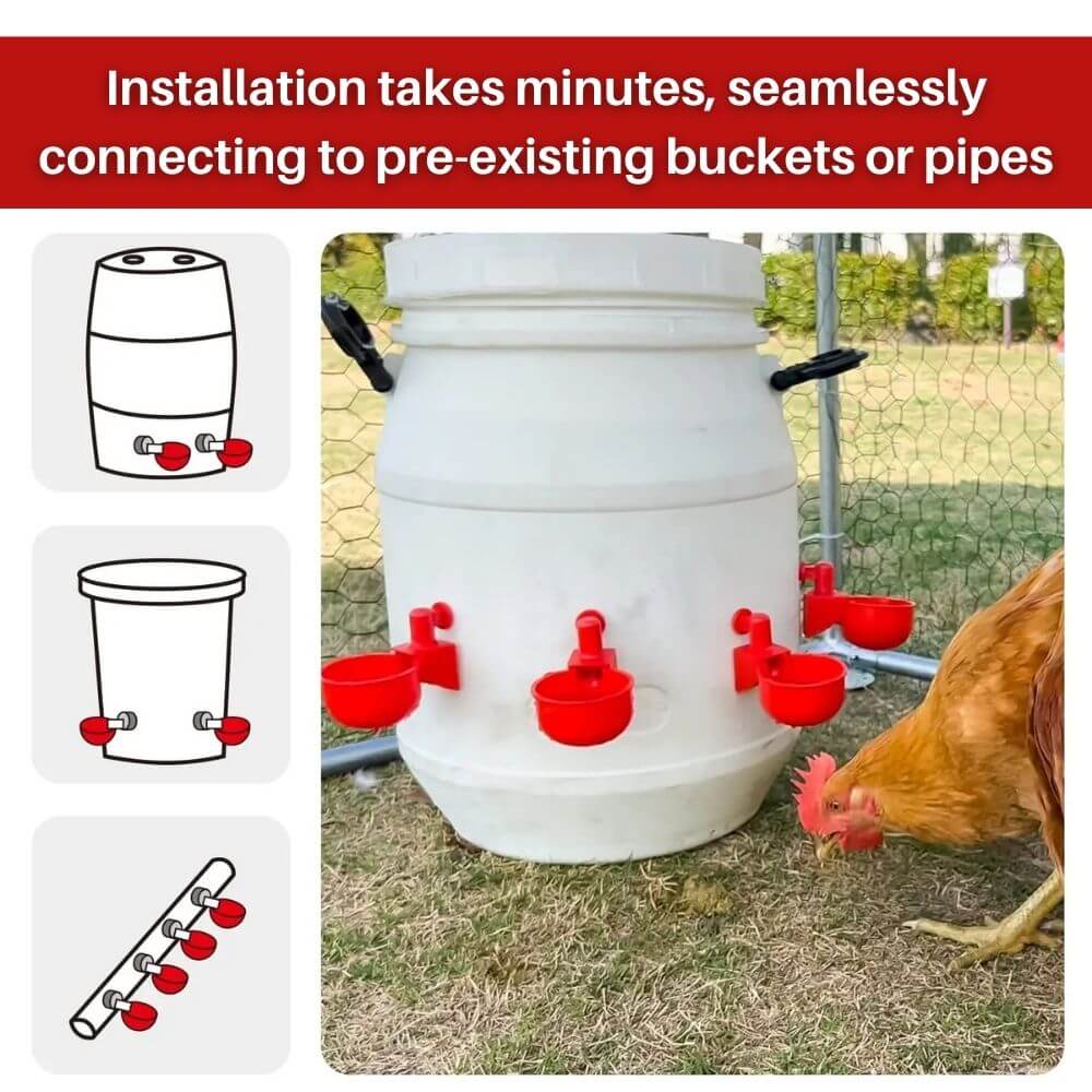 EverSpring™ Automatic Chicken Water System