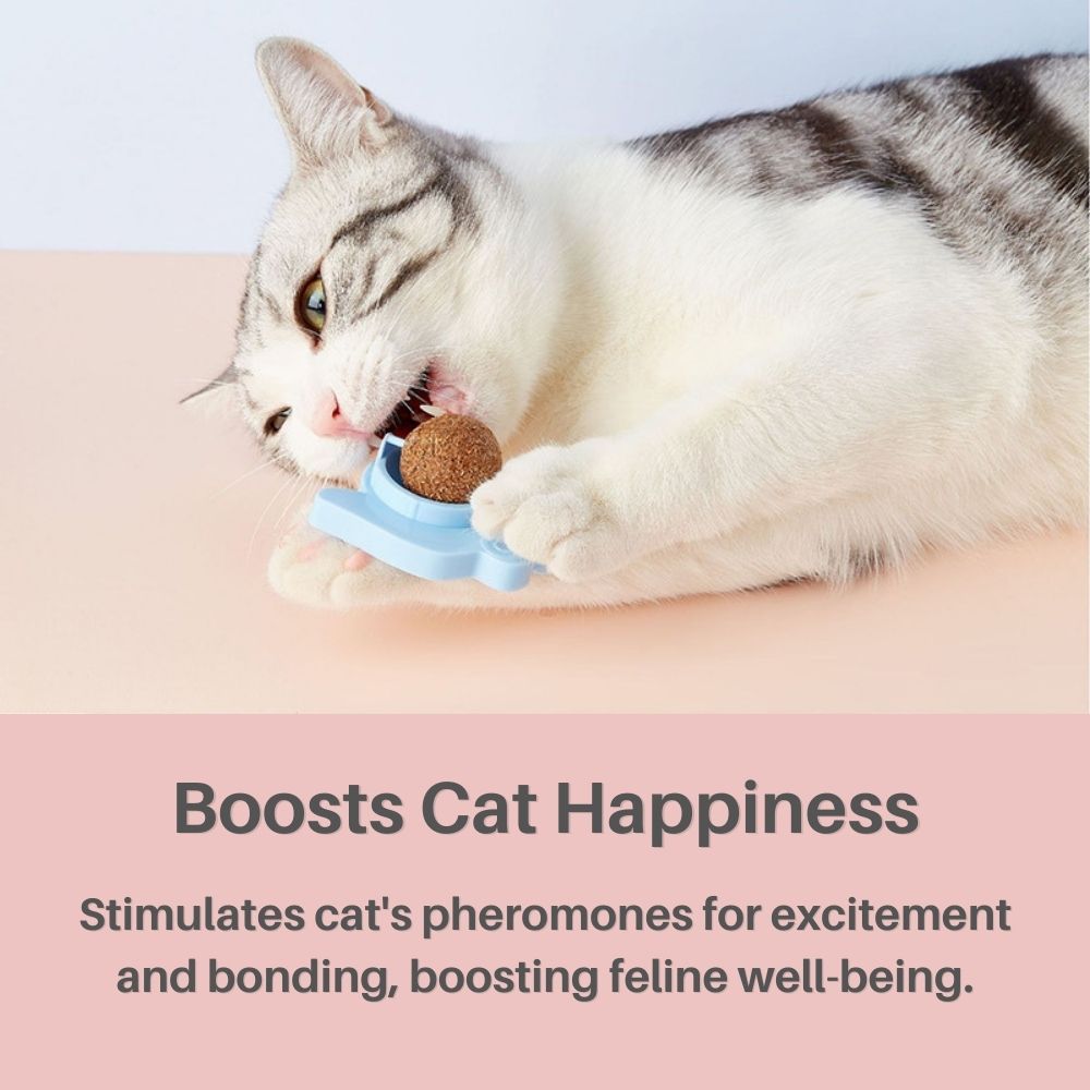 Kitty Delight™ Rotating Catnip Ball Refills