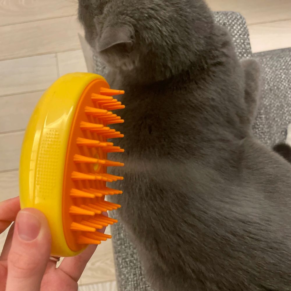 PurrSpa™ Steamy Cat Brush Special Offer