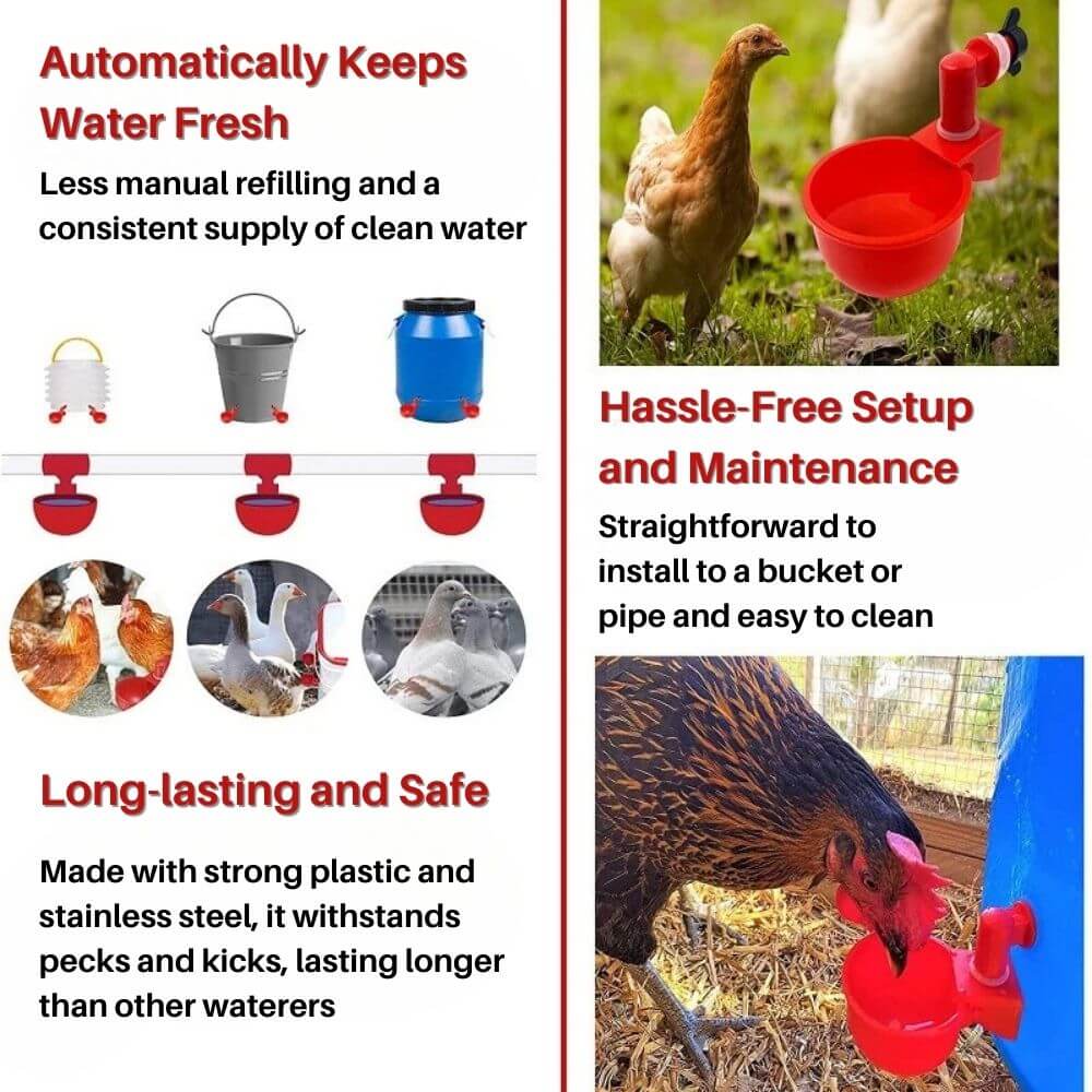 EverSpring™ Automatic Chicken Water System