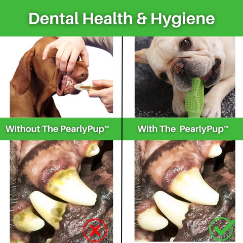 PearlyPup™ Dog Toothbrush Toy