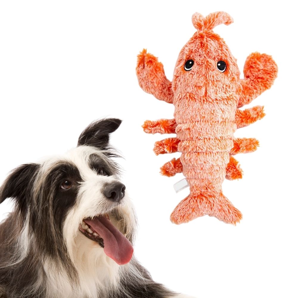 Loco Lobster™ Interactive Dog Toy