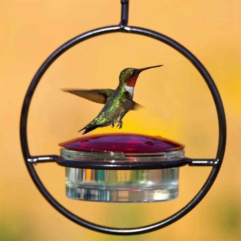 BloomHaven™ Hummingbird Feeder