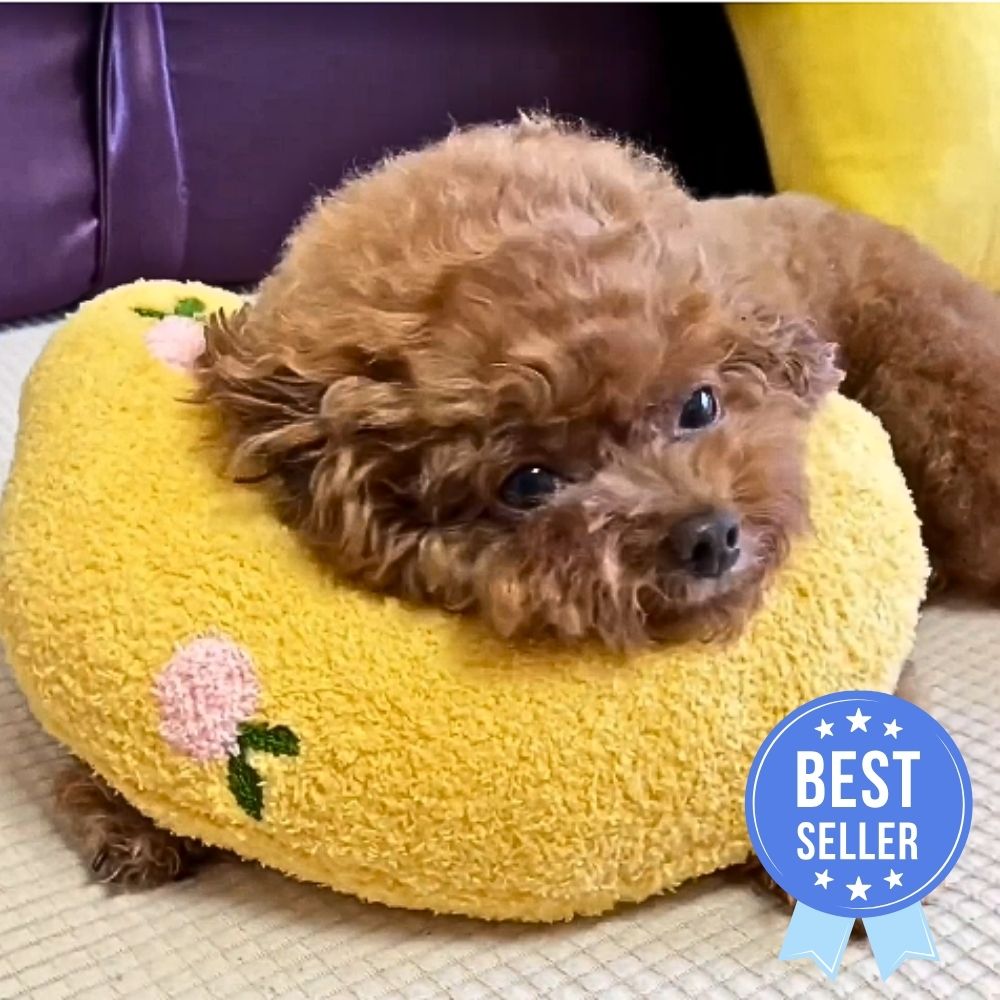 Cuddle Cushion™ Calming Dog Pillow Special Offer
