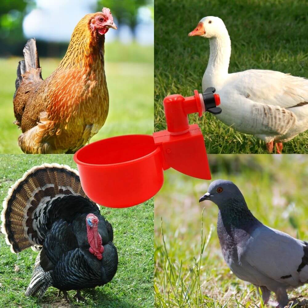 EverSpring™ Automatic Chicken Water System