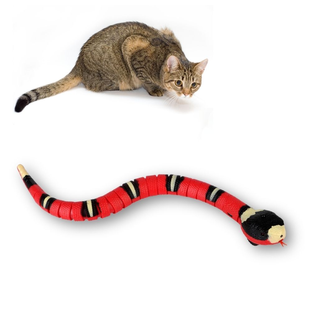 Slither Sprint™ Interactive Cat Toy