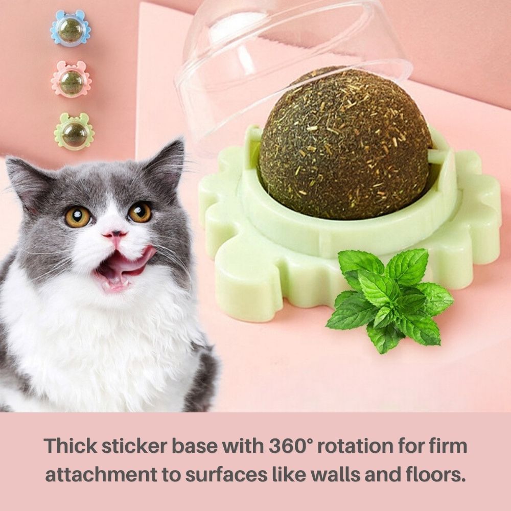 Kitty Delight™ Rotating Catnip Ball Refills