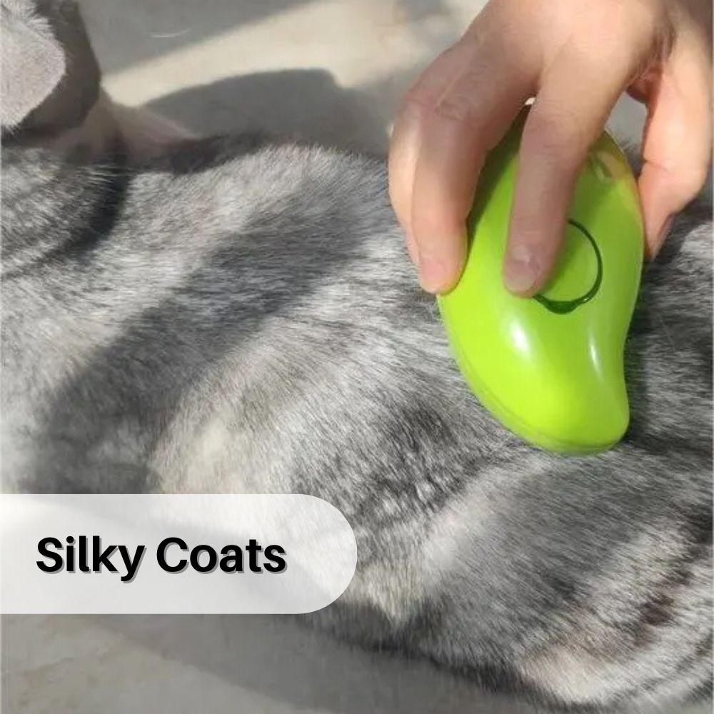 PurrSpa™ Steamy Cat Brush Special Offer