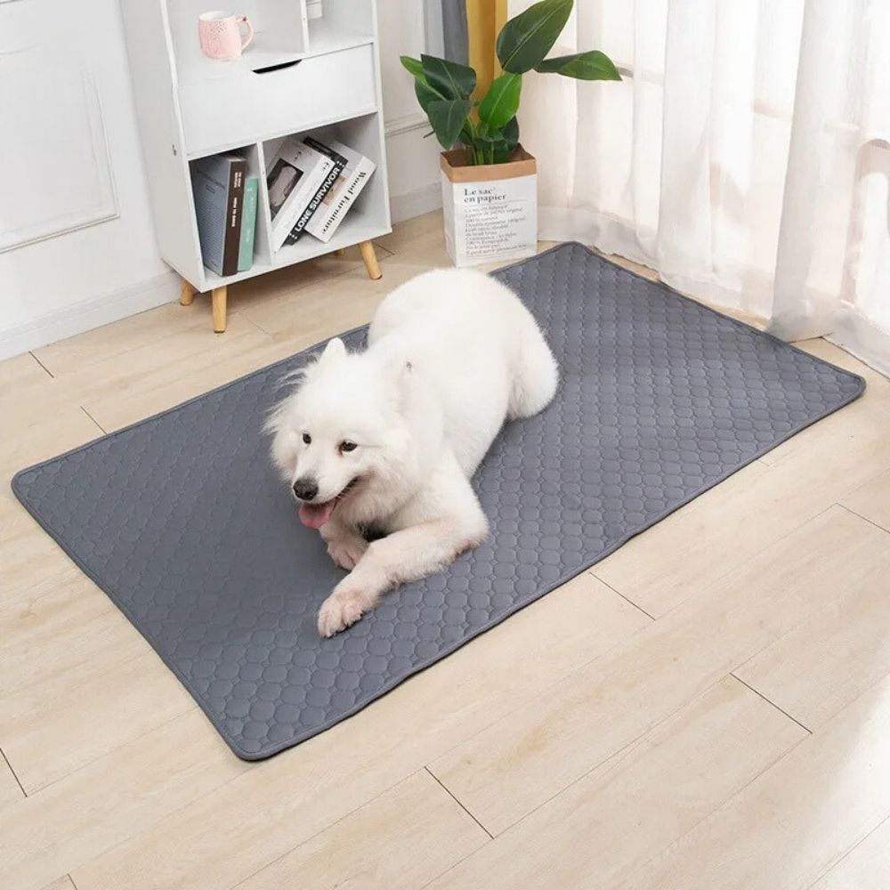 Potty Pal™ Reusable Pet Pads