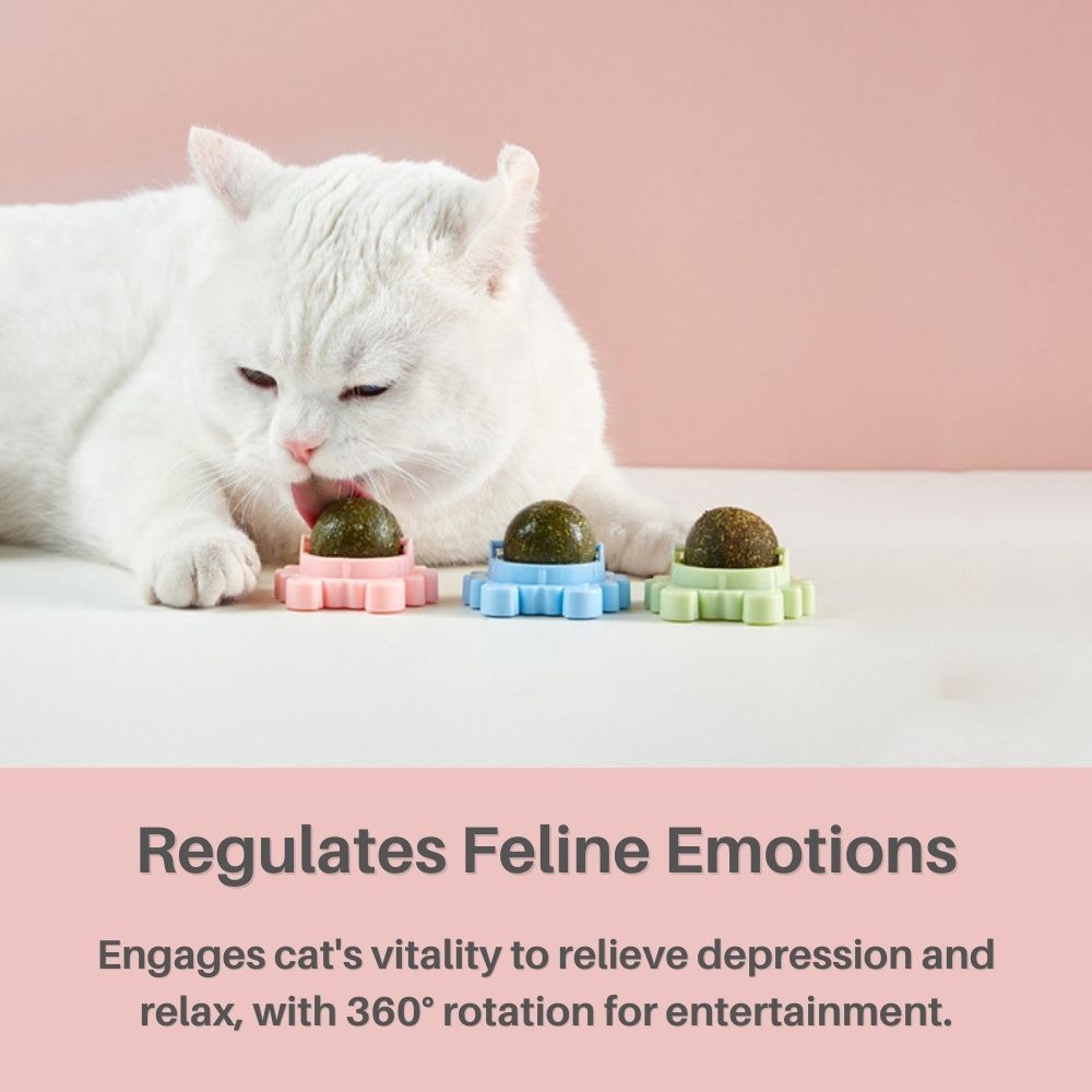 Kitty Delight™ Rotating Catnip Ball Refills