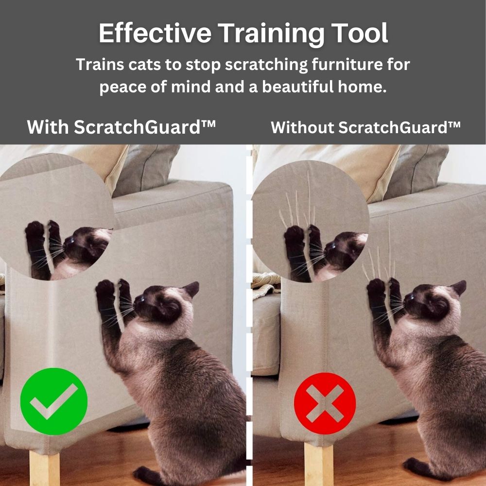 ScratchGuard™ Transparent Furniture Protector Special Offer