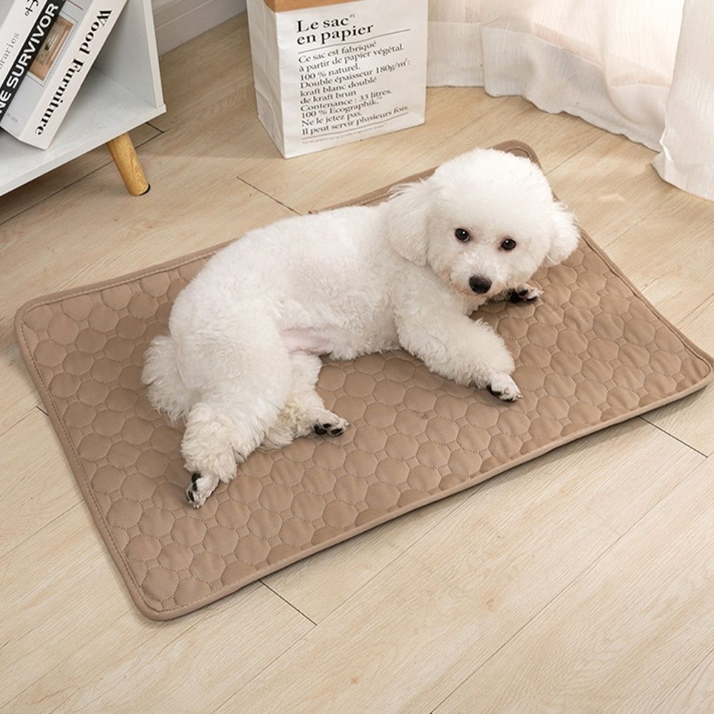 Potty Pal™ Reusable Pet Pads