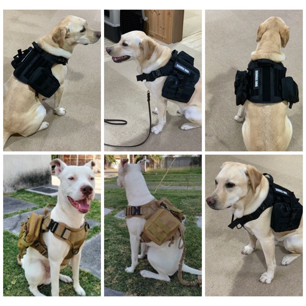 Control Companion Pro™ Tactical Dog Harness