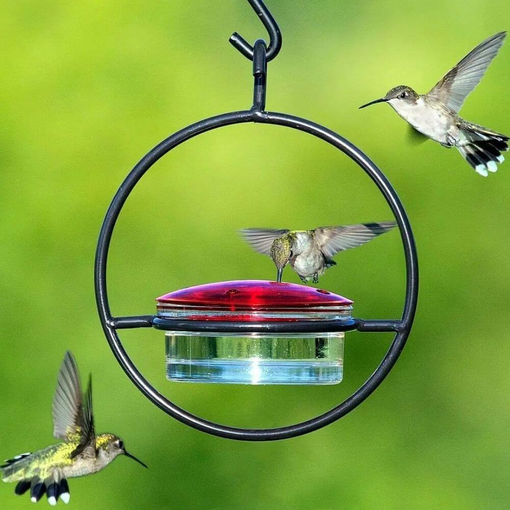 BloomHaven™ Hummingbird Feeder