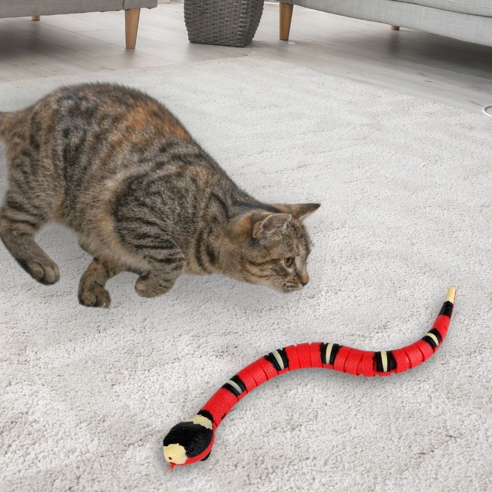 Slither Sprint™ Interactive Cat Toy