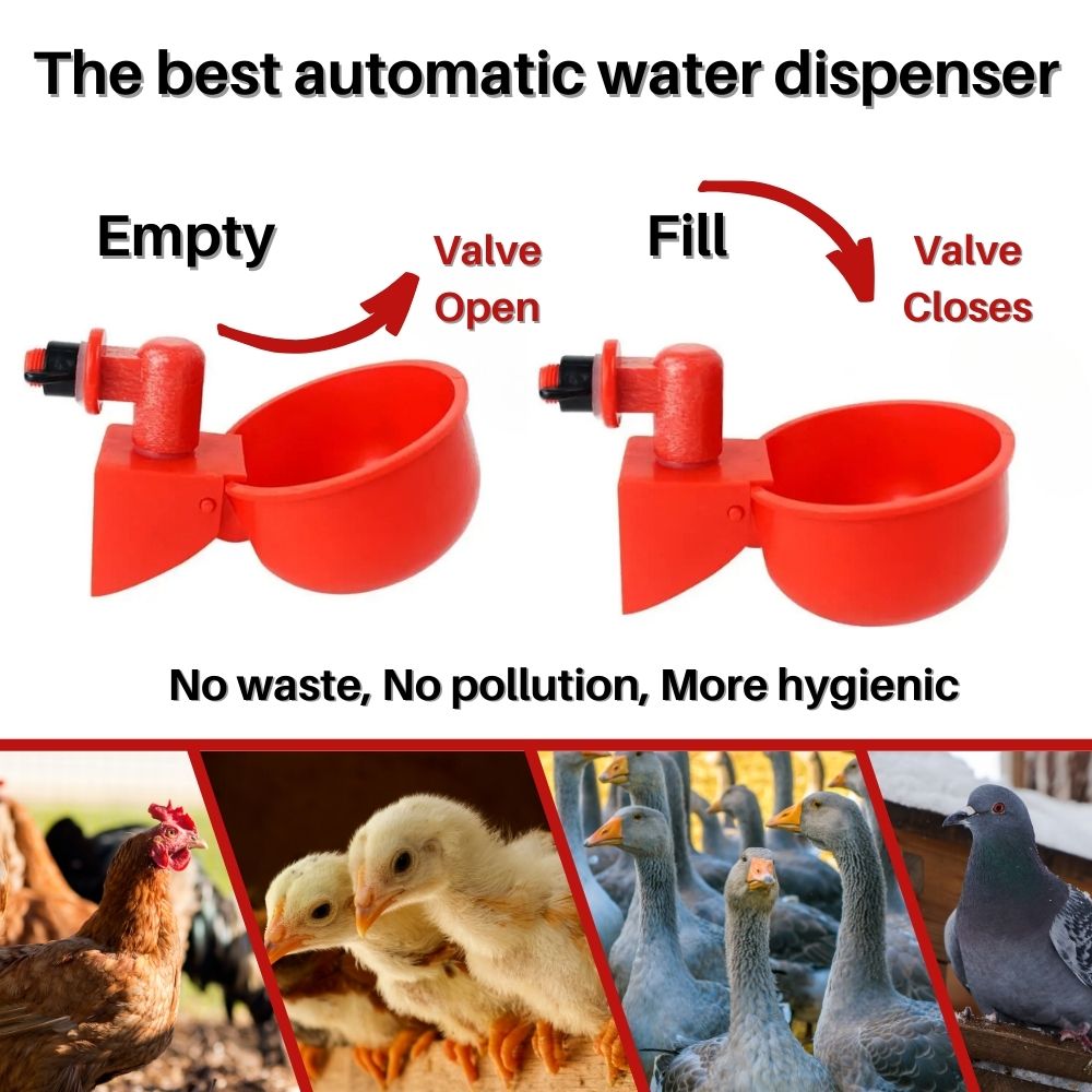 EverSpring™ Automatic Chicken Water System