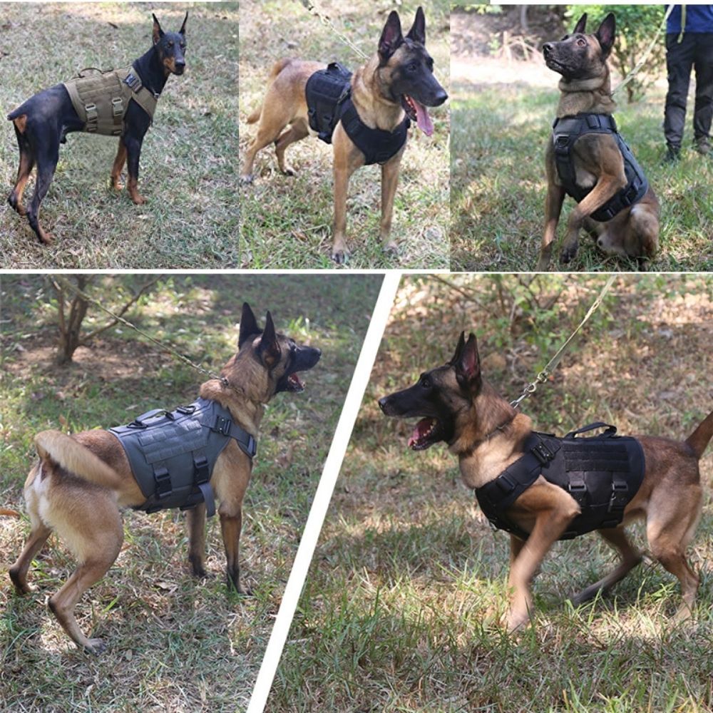 Control Companion Pro™ Tactical Dog Harness